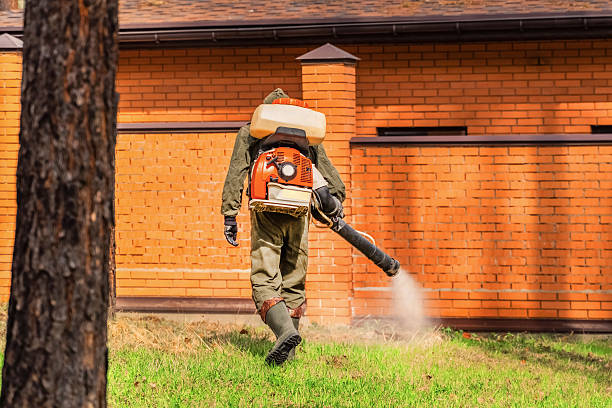 Bed Bug Clearance Verification and Documentation in Cottage Grove
